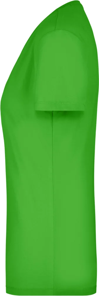 Ladies' Stretch V-Neck T-Shirt
