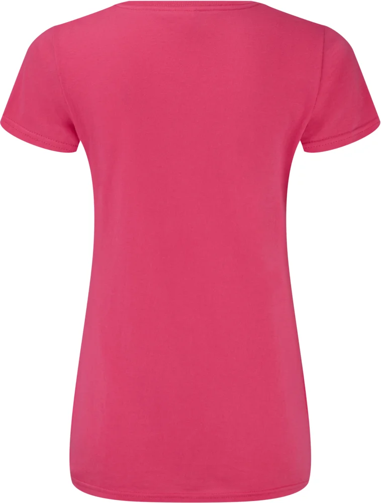 Ladies' V-Neck T-Shirt