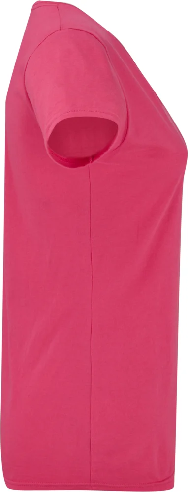 Ladies' V-Neck T-Shirt
