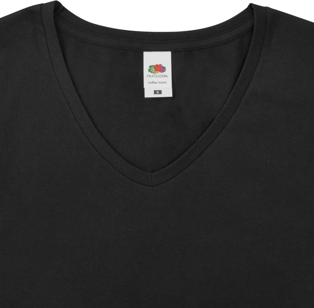 Ladies' V-Neck T-Shirt