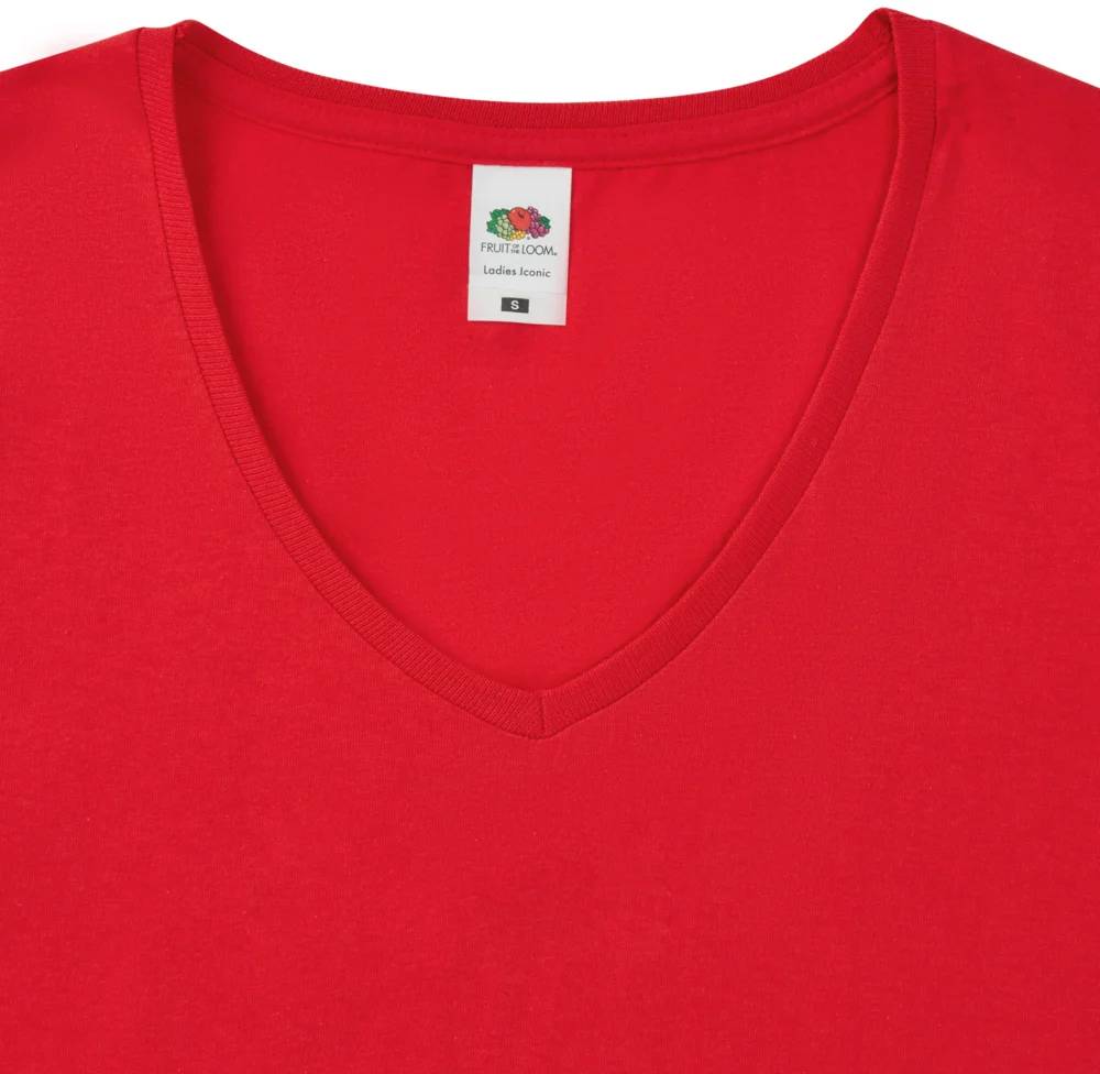 Ladies' V-Neck T-Shirt