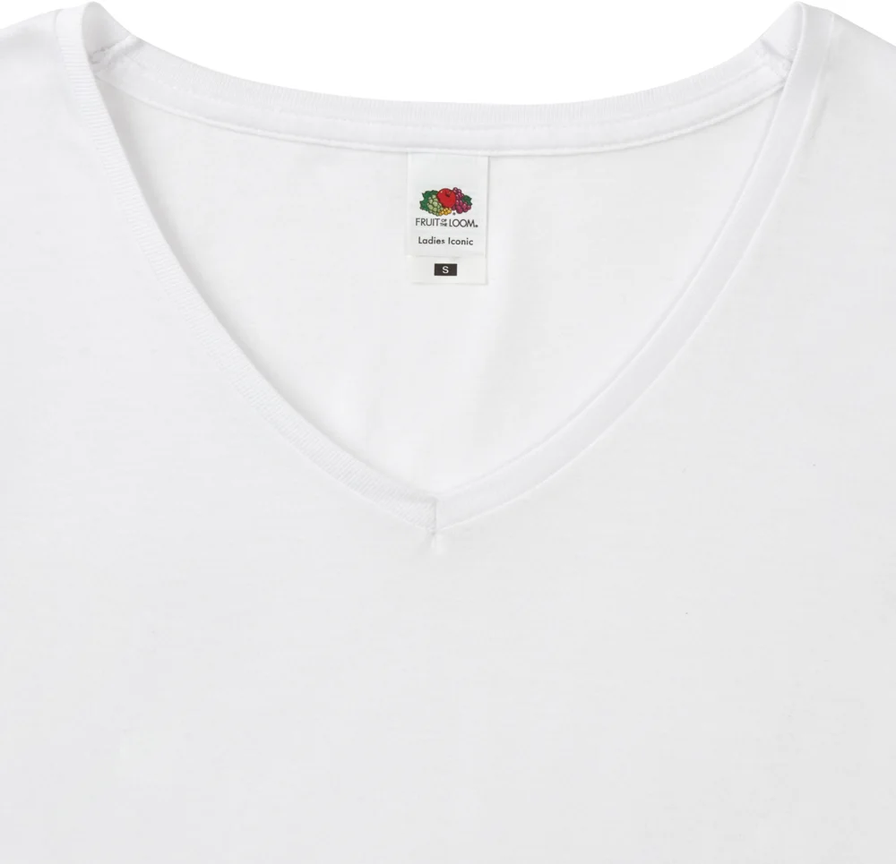 Ladies' V-Neck T-Shirt
