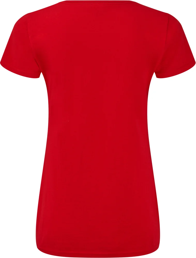 Ladies' V-Neck T-Shirt