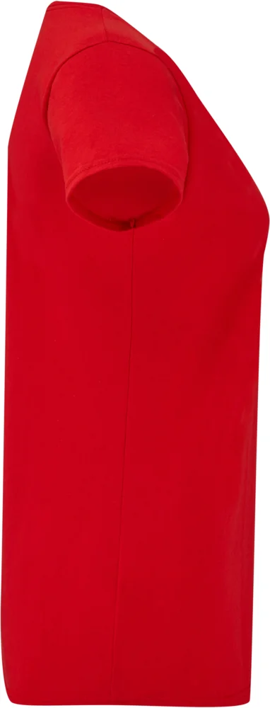 Ladies' V-Neck T-Shirt