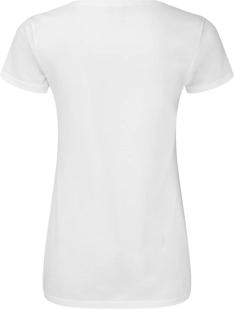 Ladies' V-Neck T-Shirt