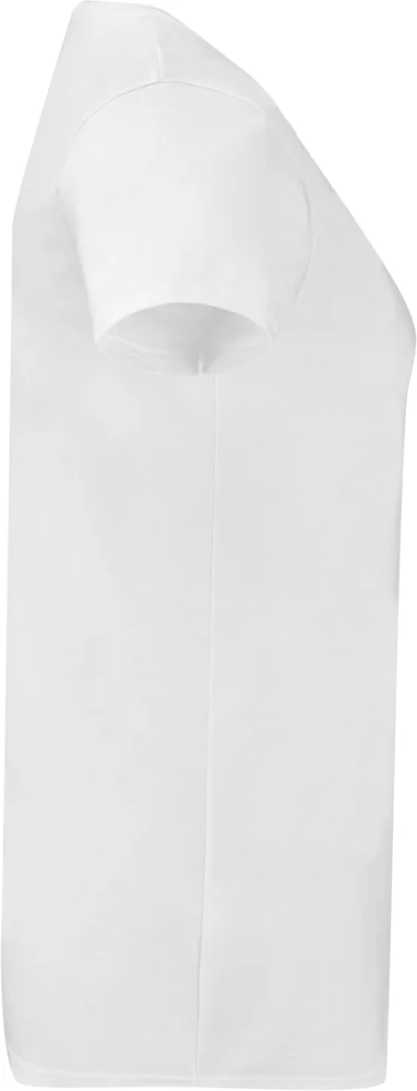Ladies' V-Neck T-Shirt