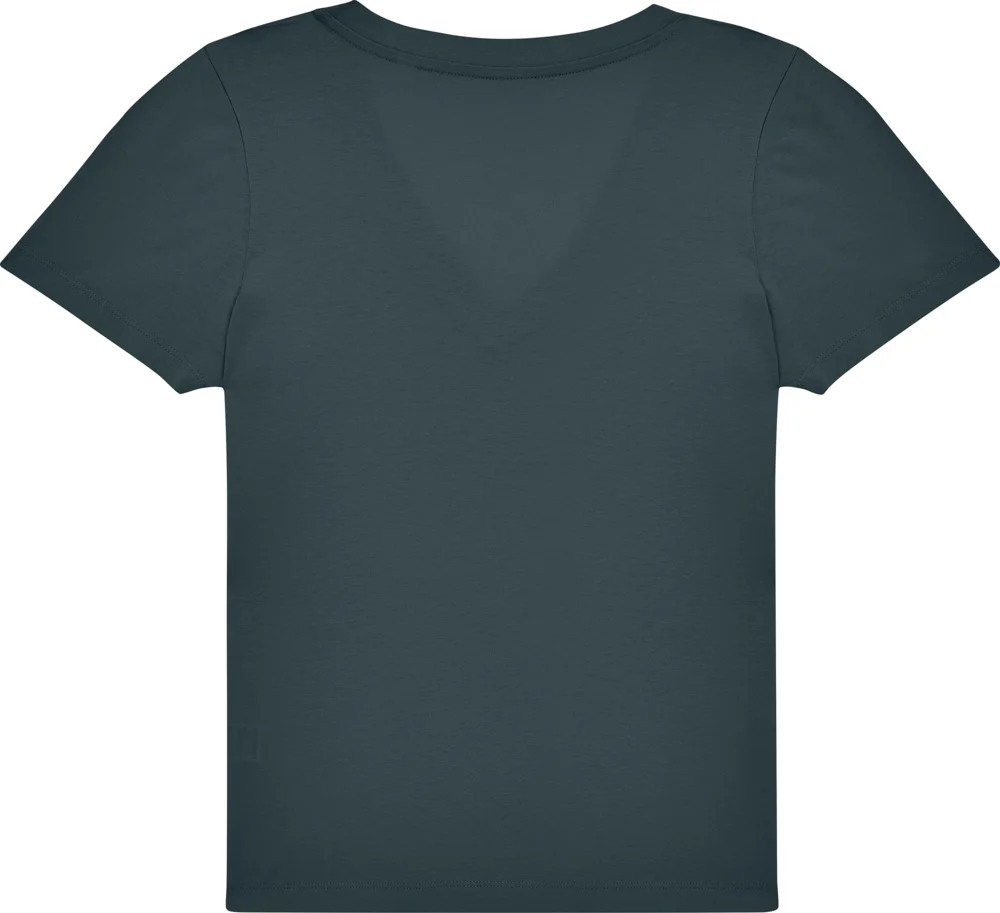 Ladies' V-Neck T-Shirt