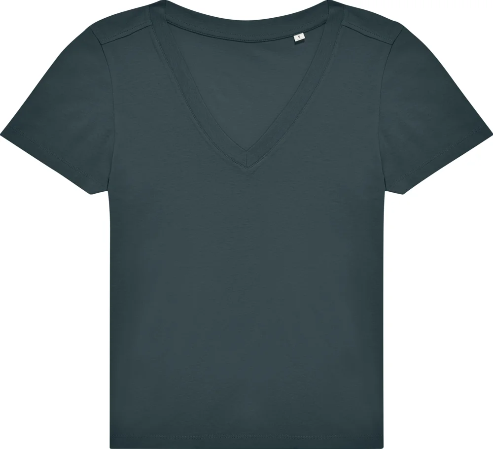 Ladies' V-Neck T-Shirt