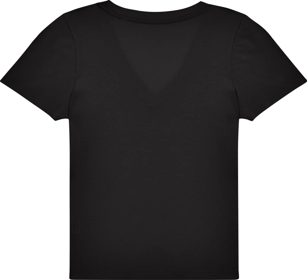 Ladies' V-Neck T-Shirt