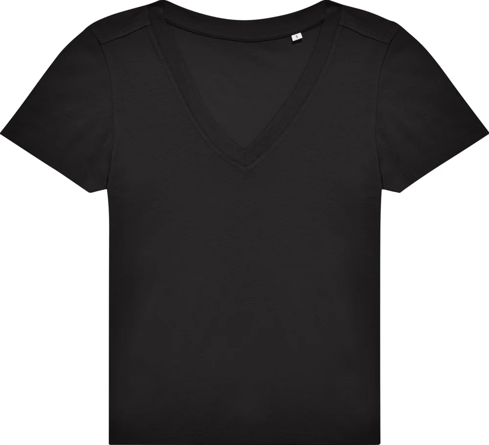 Ladies' V-Neck T-Shirt