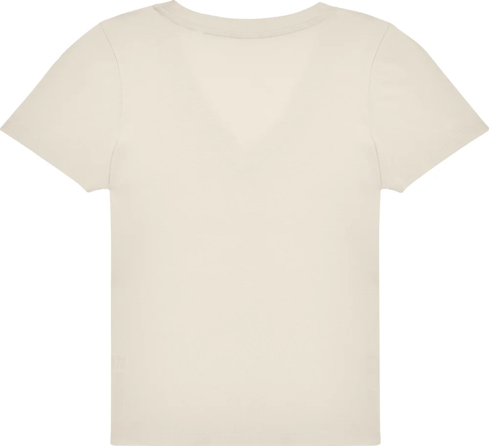 Ladies' V-Neck T-Shirt