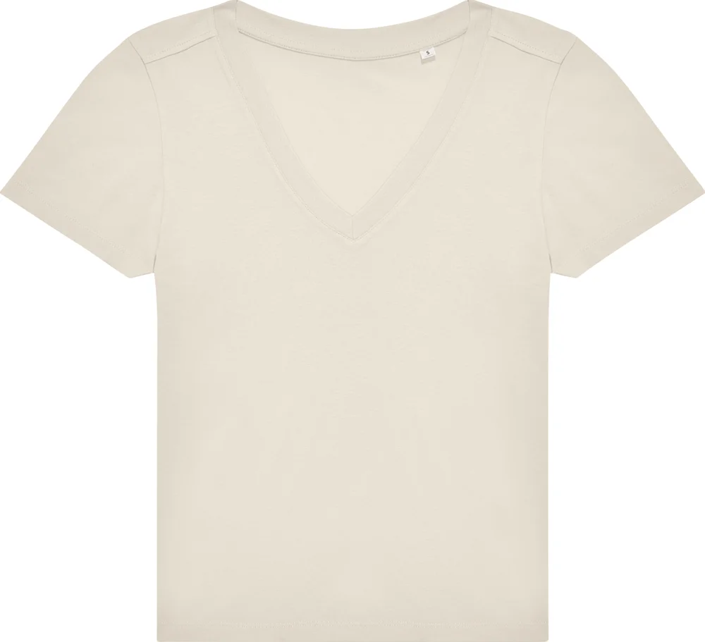Ladies' V-Neck T-Shirt