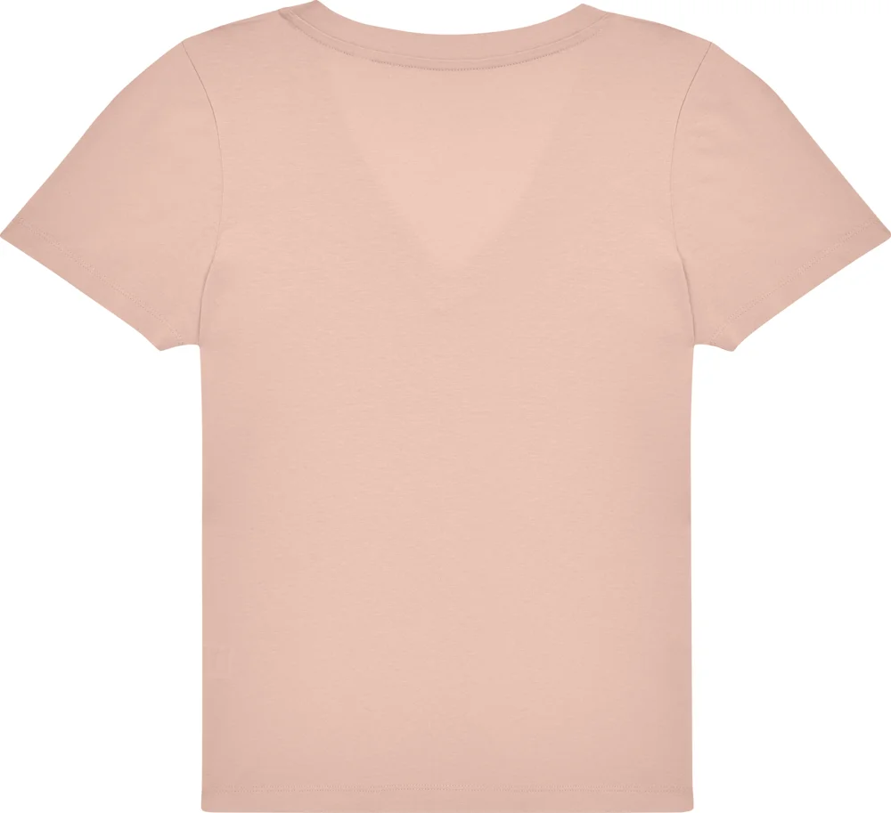 Ladies' V-Neck T-Shirt