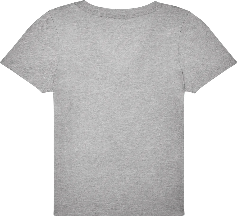 Ladies' V-Neck T-Shirt