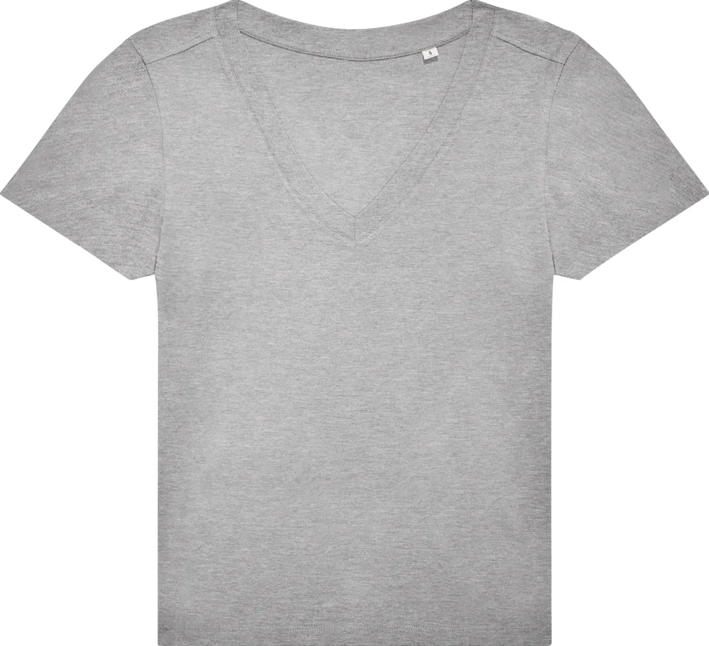 Ladies' V-Neck T-Shirt