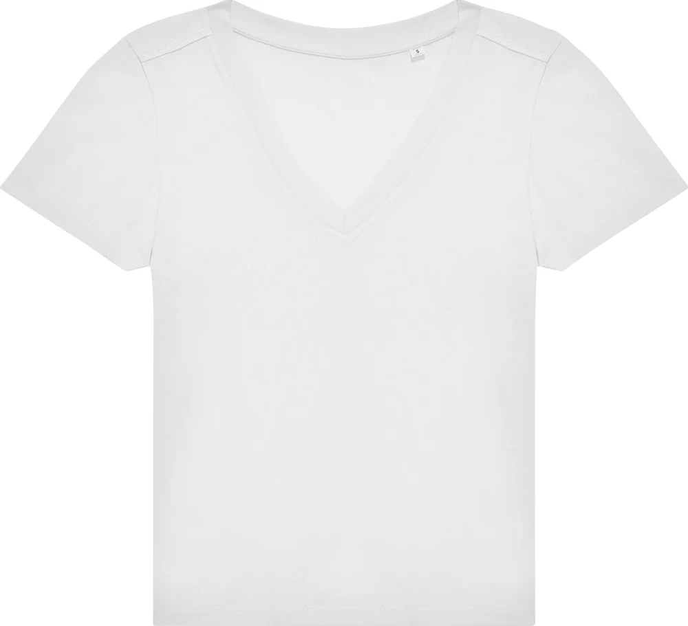 Ladies' V-Neck T-Shirt