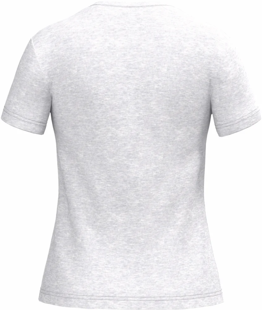 Ladies' V-Neck T-Shirt