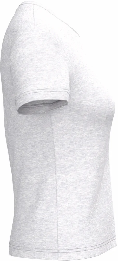 Ladies' V-Neck T-Shirt
