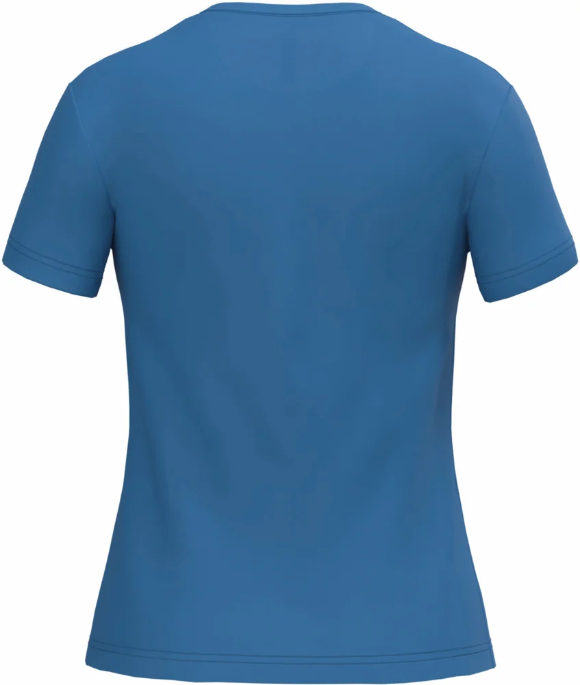 Ladies' V-Neck T-Shirt