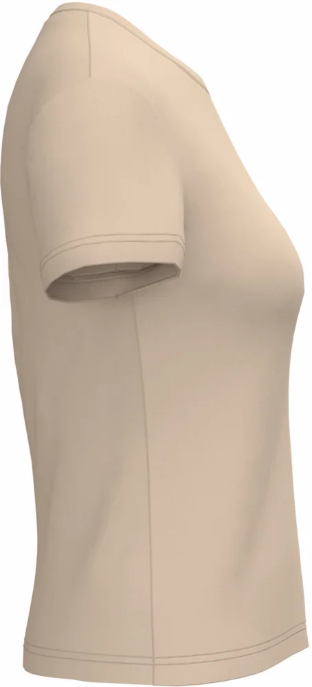Ladies' V-Neck T-Shirt