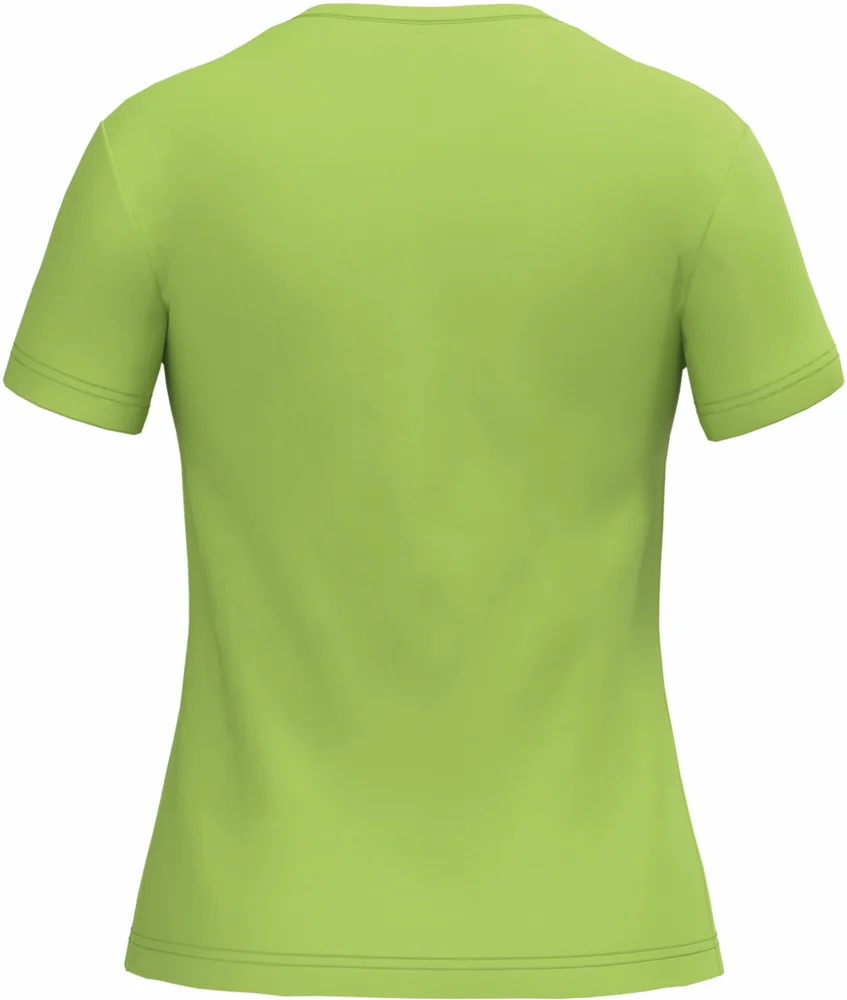 Ladies' V-Neck T-Shirt