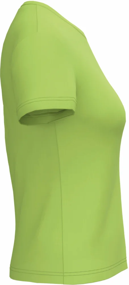 Ladies' V-Neck T-Shirt