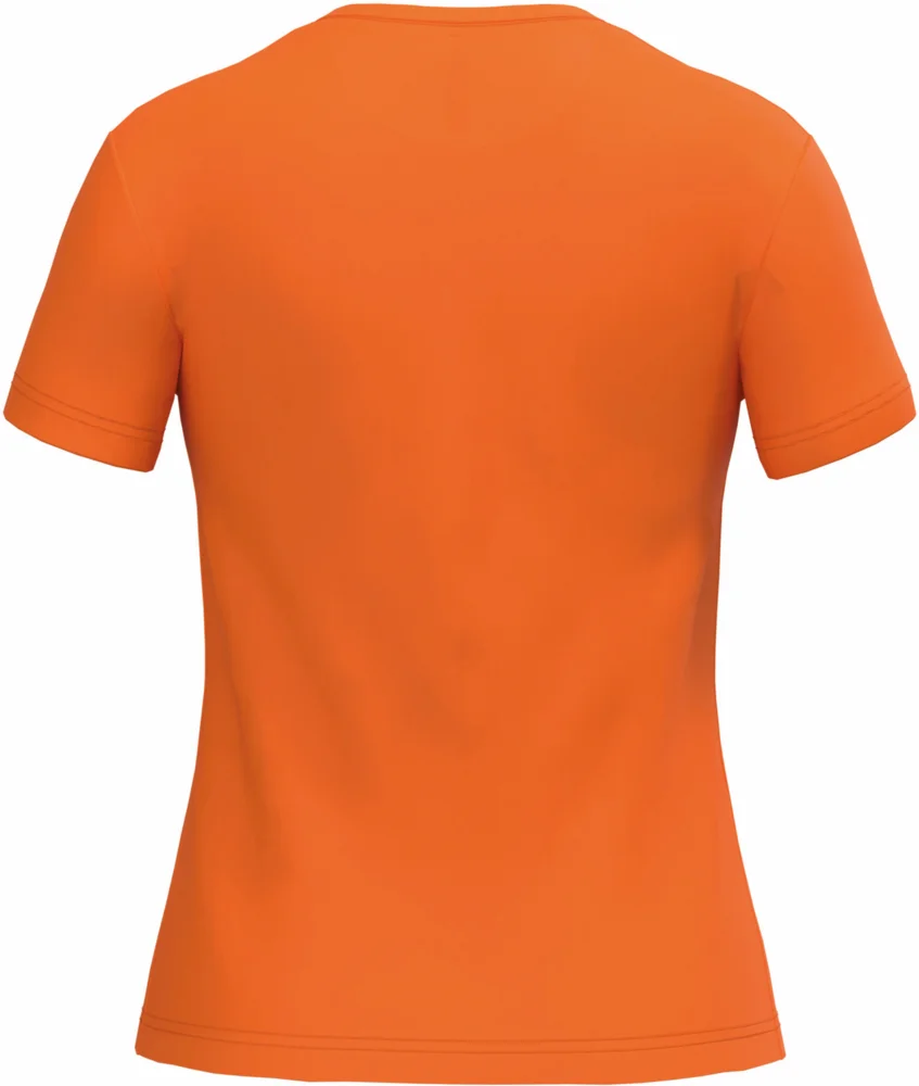 Ladies' V-Neck T-Shirt