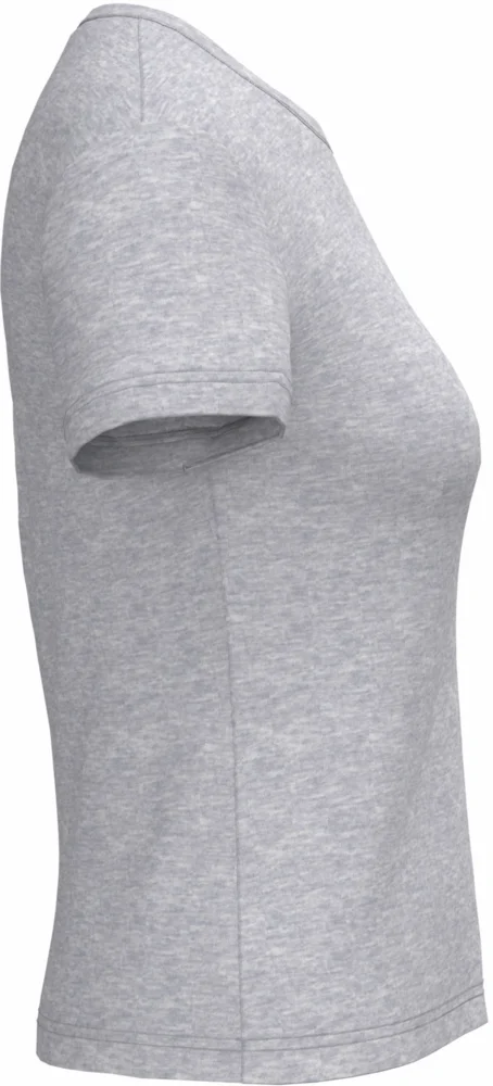Ladies' V-Neck T-Shirt