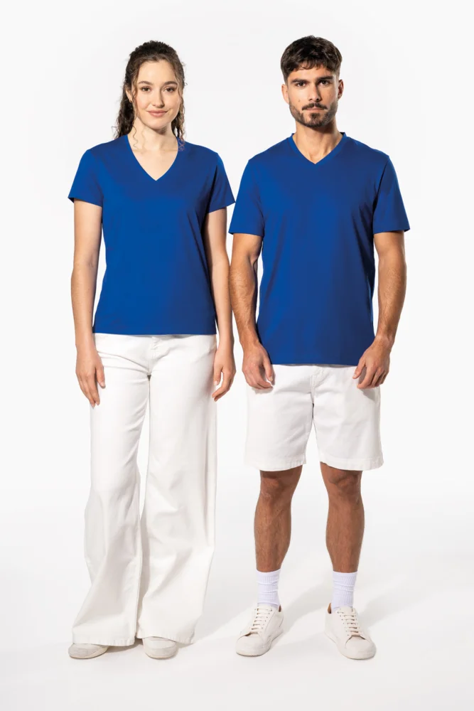 Ladies' V-Neck T-Shirt