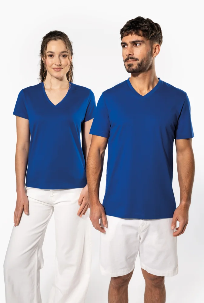 Ladies' V-Neck T-Shirt