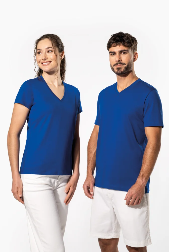 Ladies' V-Neck T-Shirt