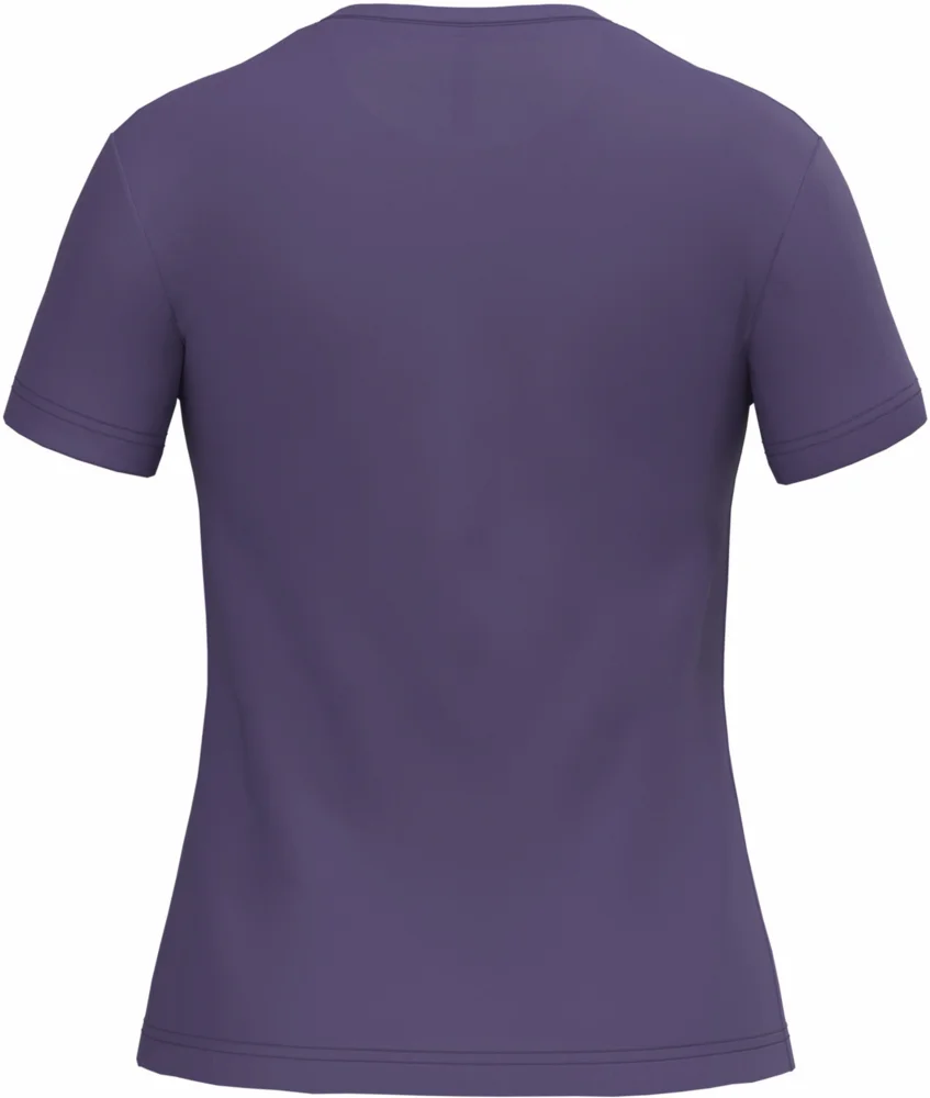 Ladies' V-Neck T-Shirt
