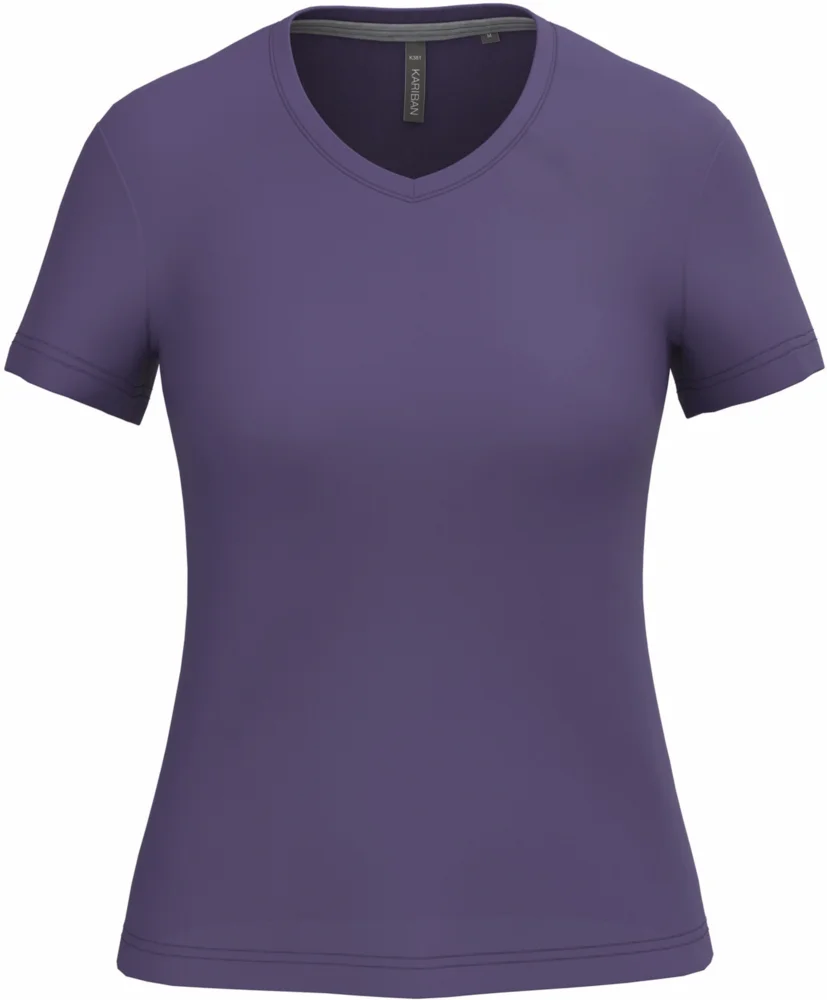 Ladies' V-Neck T-Shirt