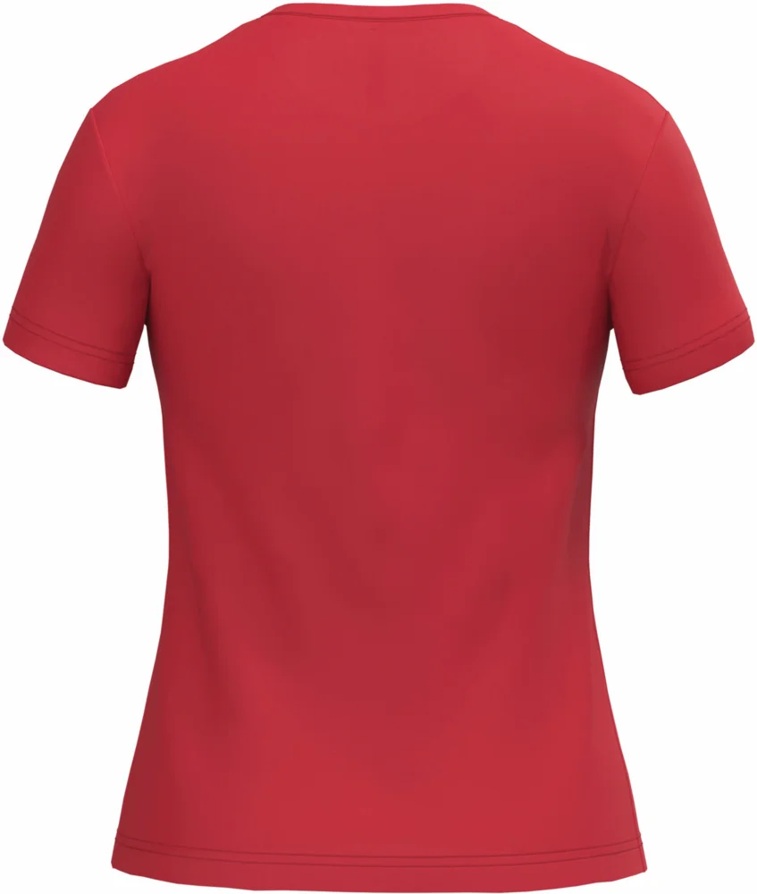 Ladies' V-Neck T-Shirt