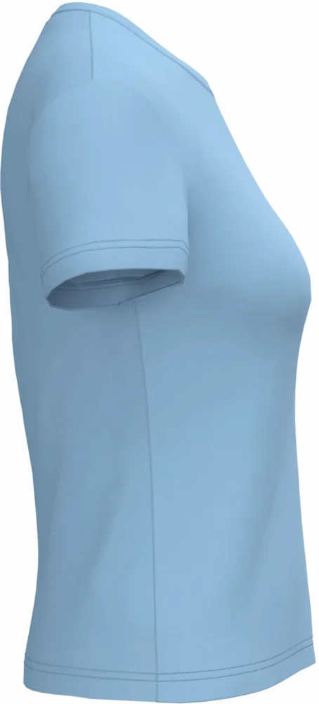 Ladies' V-Neck T-Shirt