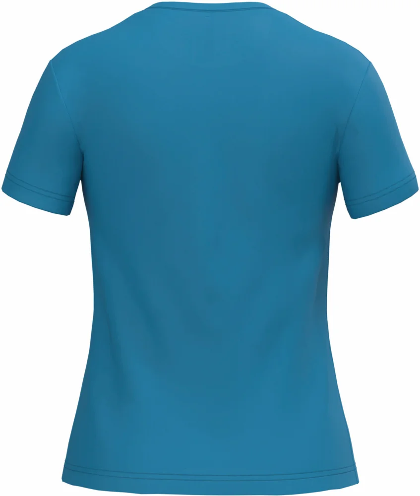 Ladies' V-Neck T-Shirt