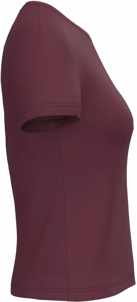 Ladies' V-Neck T-Shirt