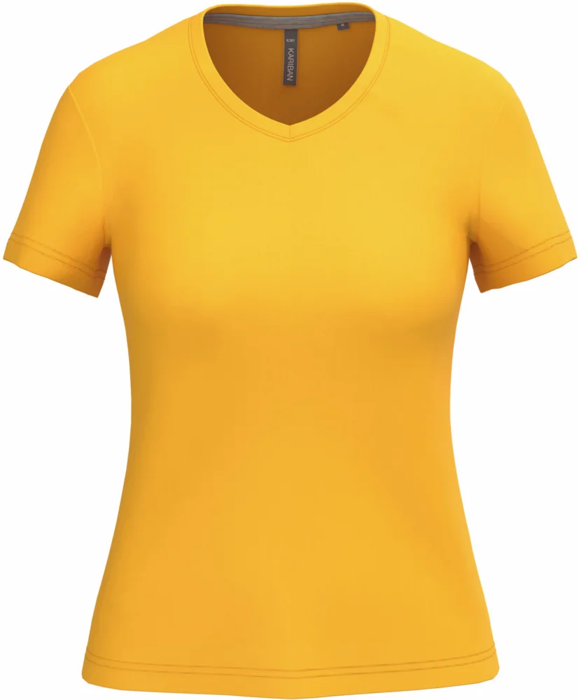 Ladies' V-Neck T-Shirt