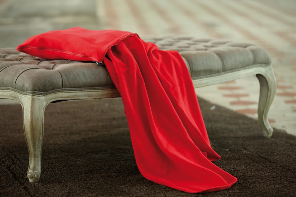 Fleece Blanket with Cover