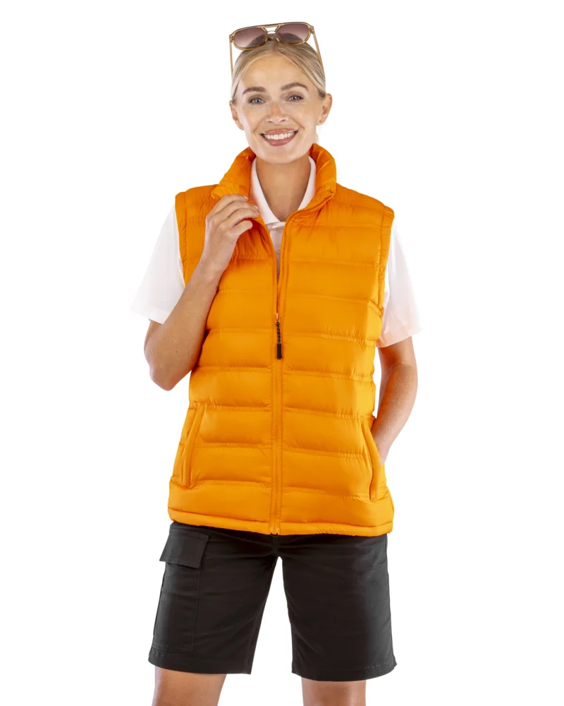Gefütterter Damen Bodywarmer "Ice Bird"