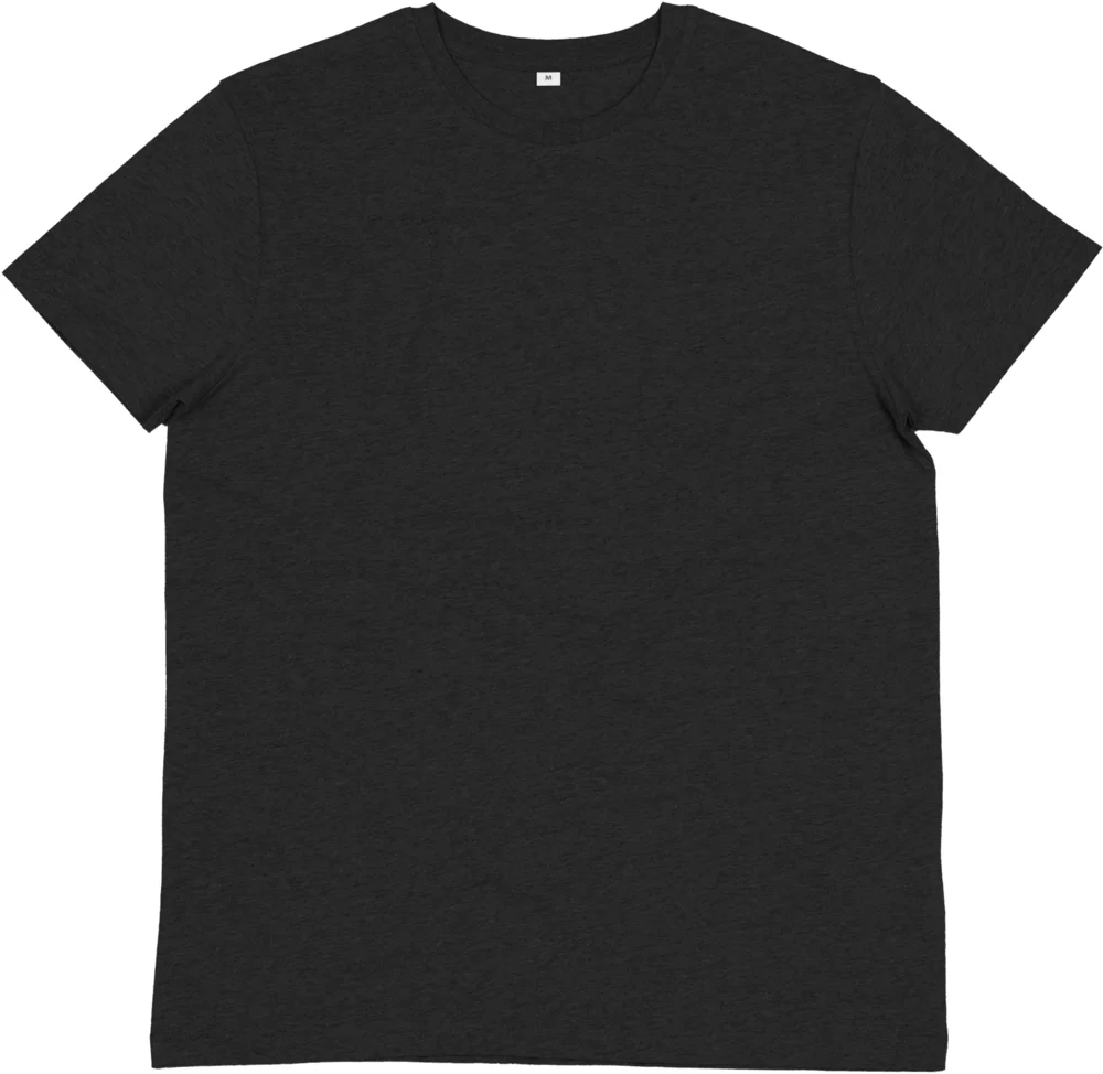 Herren Bio IC T-Shirt