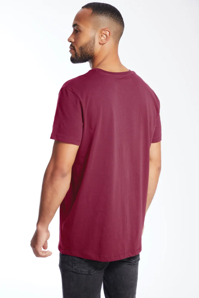 Herren Bio IC T-Shirt