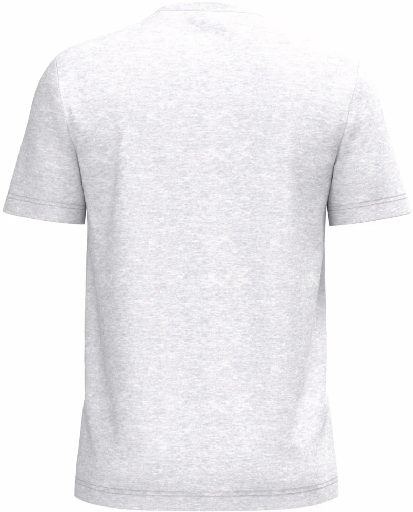 Herren Bio IC T-Shirt