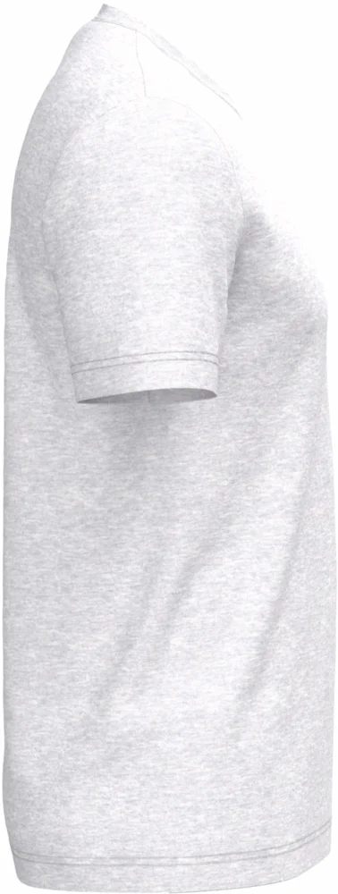 Herren Bio IC T-Shirt