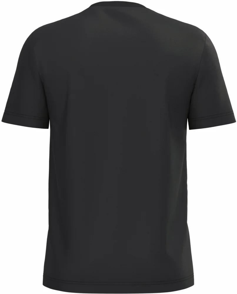 Herren Bio IC T-Shirt