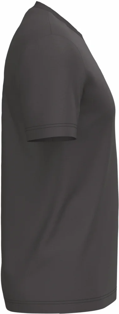 Herren Bio IC T-Shirt