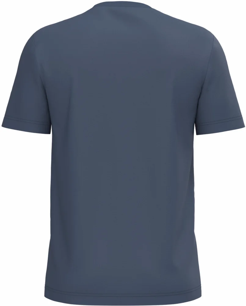 Herren Bio IC T-Shirt