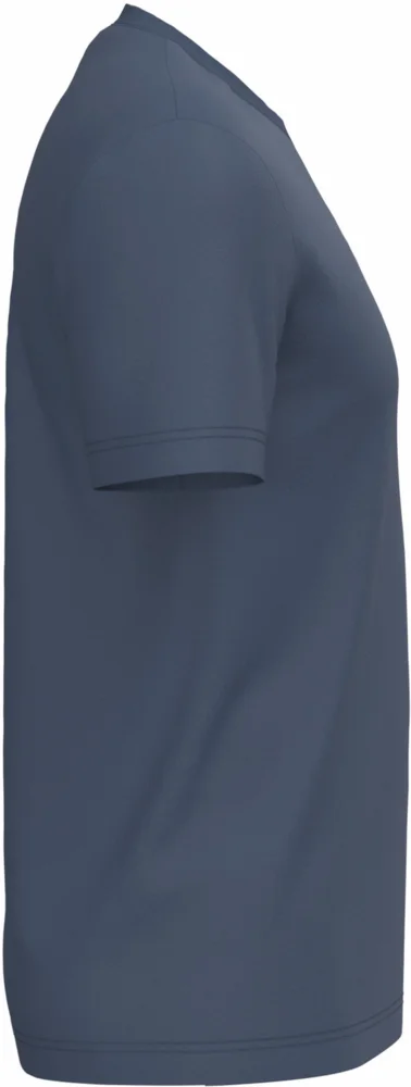Herren Bio IC T-Shirt