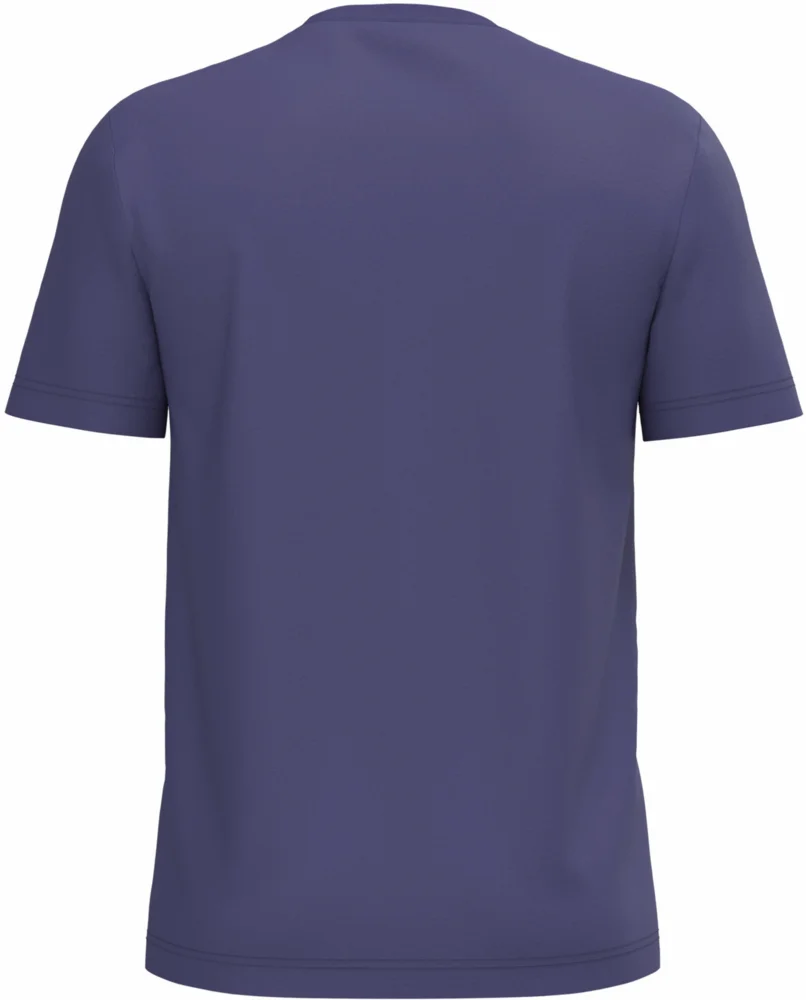 Herren Bio IC T-Shirt