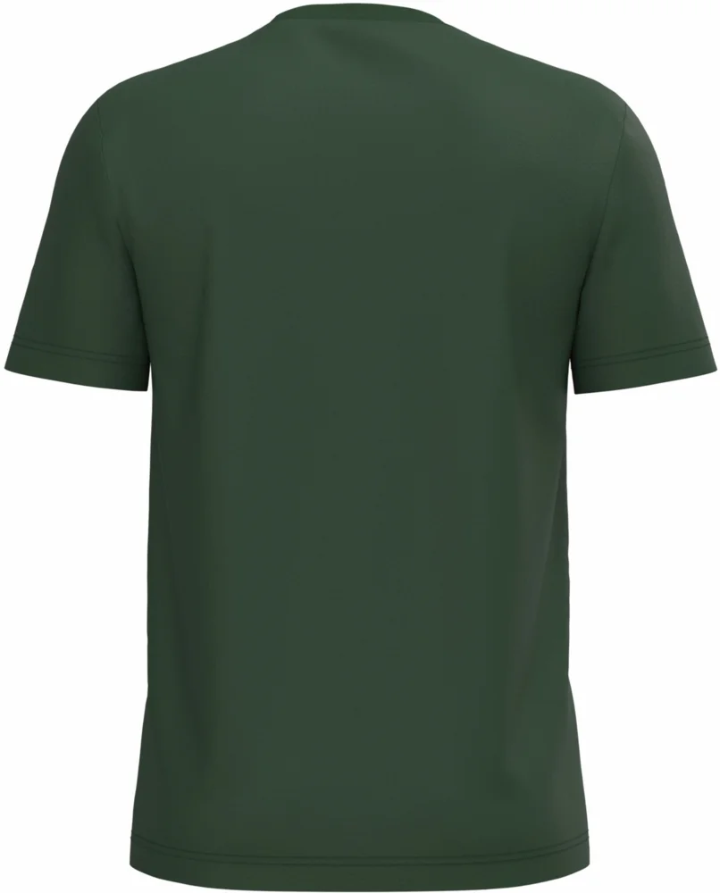 Herren Bio IC T-Shirt